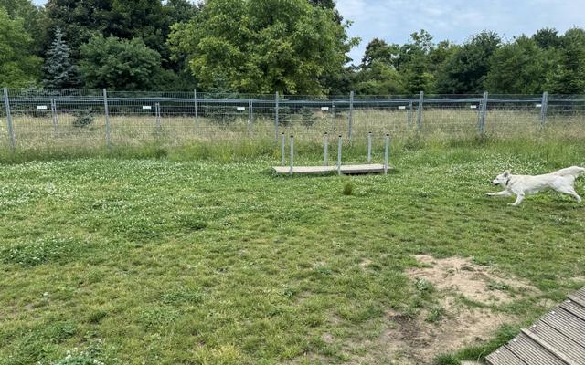 Hundefreilauffläche Unkel