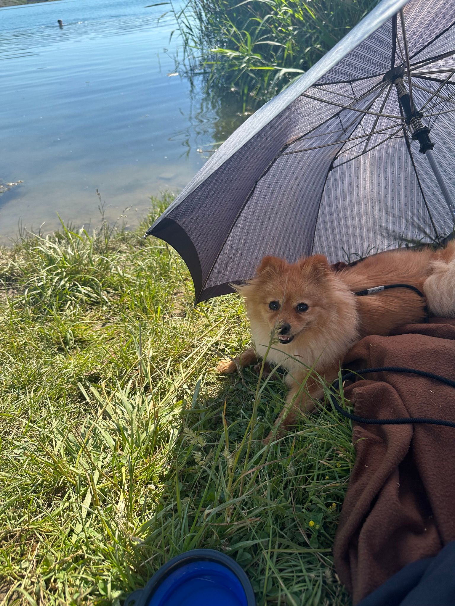 Hörblacher Badesee bei Schwarzach am Main
