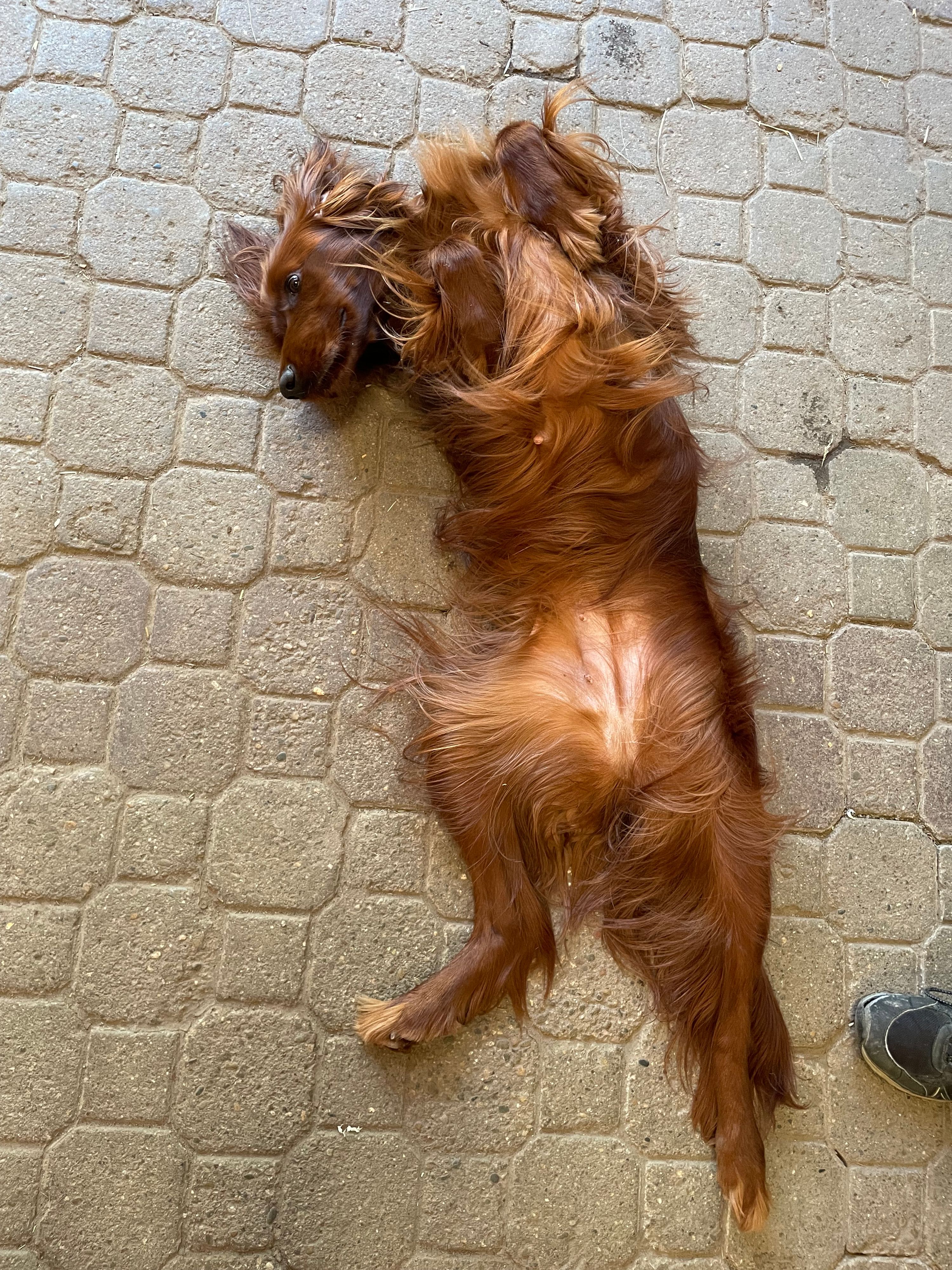 Foto