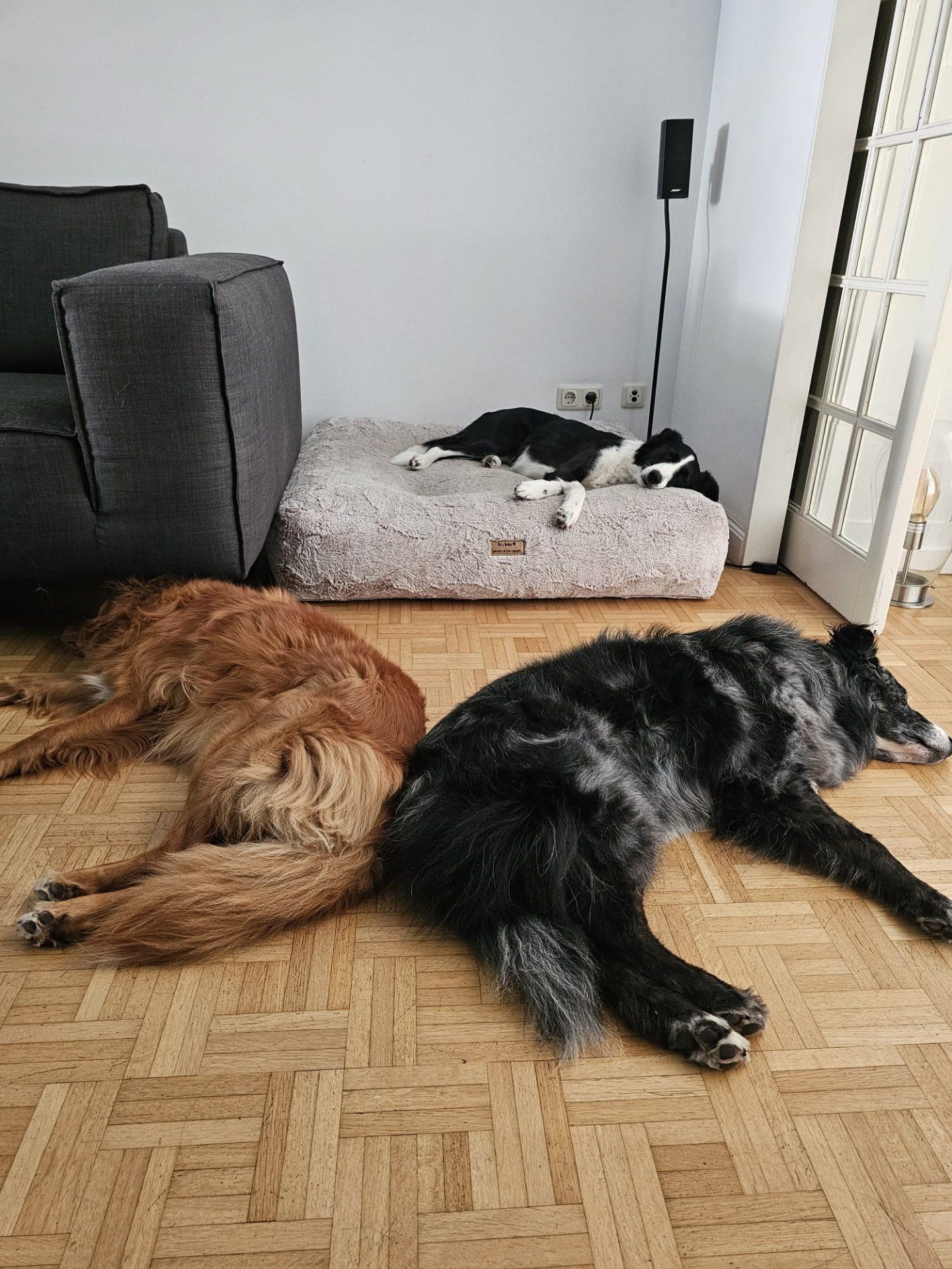 Foto