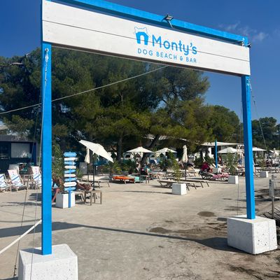 Blaues Eingangsschild von Monty's Dog Beach & Bar mit Liegen und Sonnenschirmen im Hintergrund.