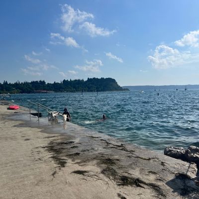 Eine hundefreundliche Umgebung am Ufer mit Menschen und Hunden im Wasser.