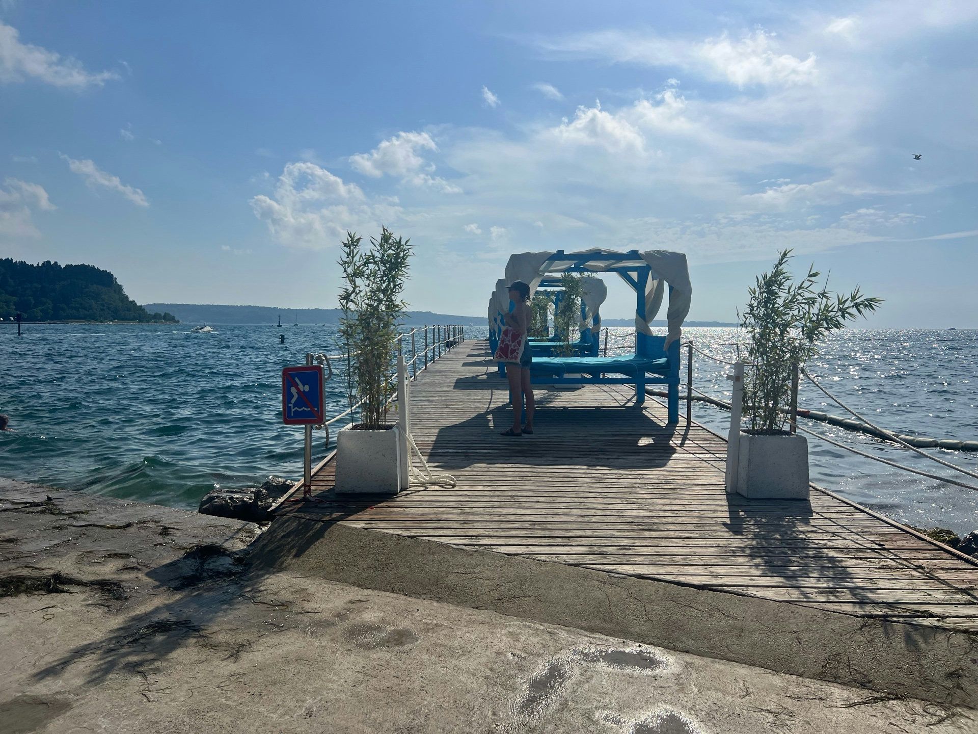 Eine entspannte Szene am Wasser mit einem Pier, ideal für Reisen mit Hunden.