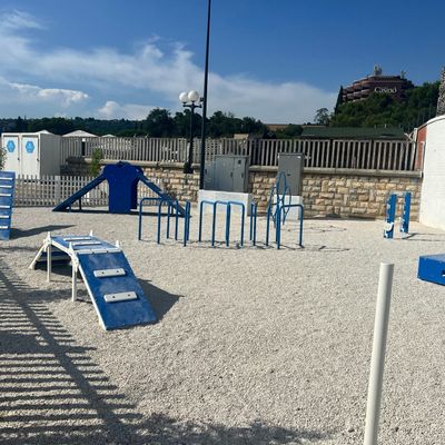 Hundespielplatz mit blauen Hindernissen und Freifläche in einer Reiseregion