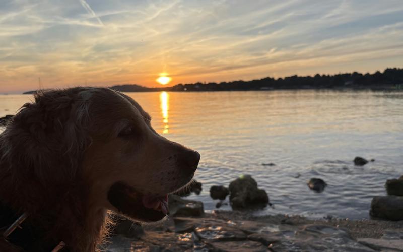 Hundefreundliche Campingplätze in Peroj