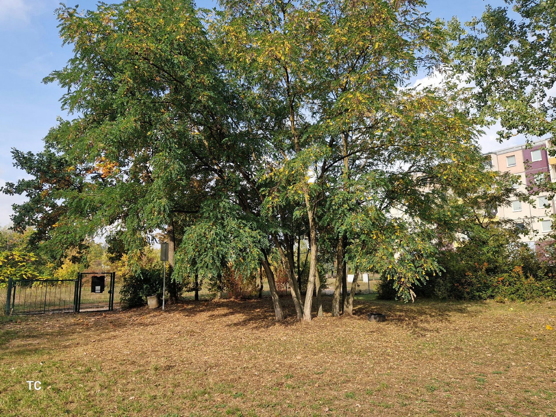 HEP Hundewiese Wimpinastraße