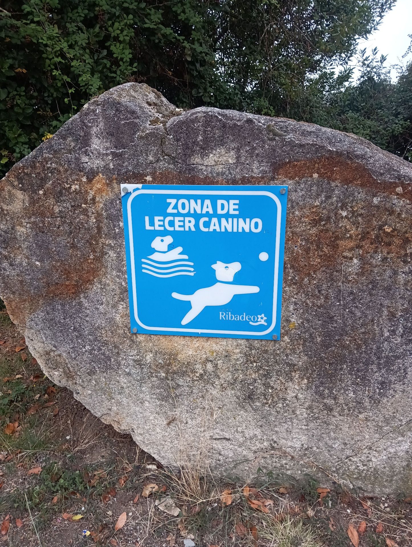 Hundestrand Playa canina de Ribadeo