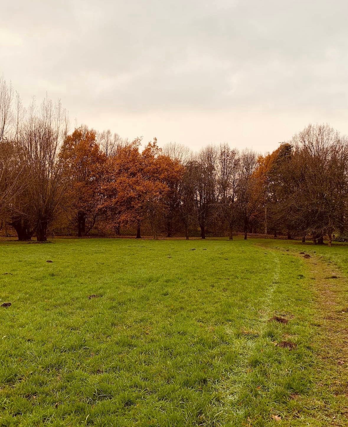 Hundewiese Brinker Park