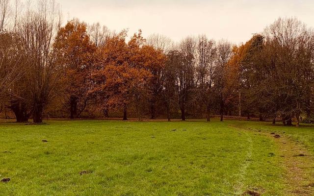 Hundewiese Brinker Park