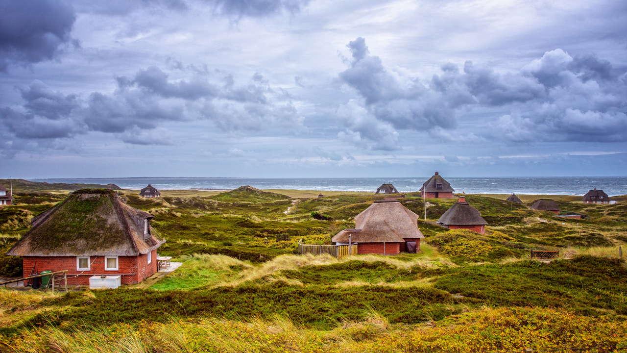Sylt: Traditionelle Reetdachhäuser an der Nordseeküste Reetdachhäuser auf Sylt mit Strohdächern in grüner Dünenlandschaft an der Nordsee