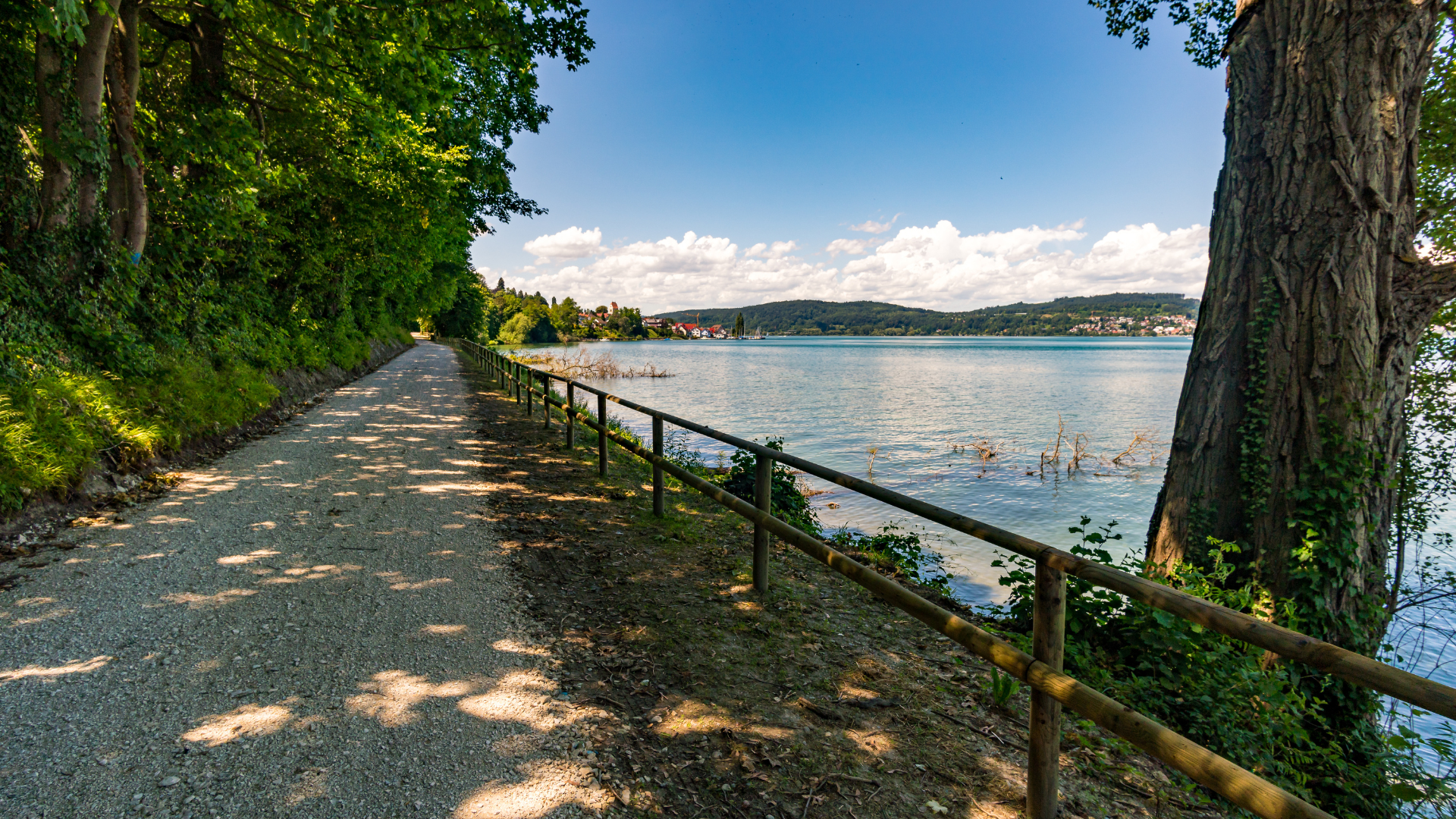 Idyllischer Wanderweg am Bodensee mit Geländer, perfekt für Hundeausflüge und Fernwanderungen