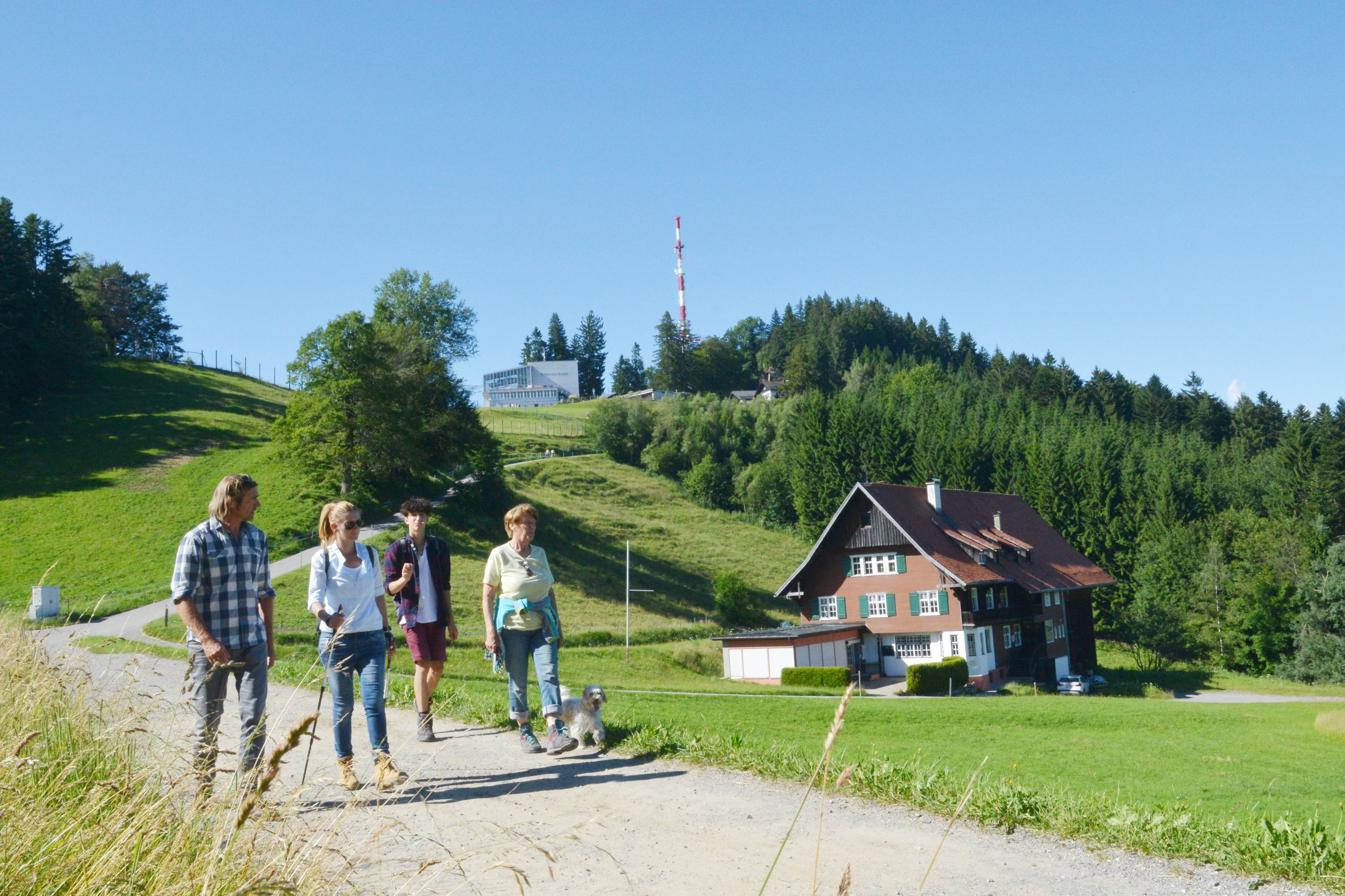 Vier Personen und ein Hund wandern auf einem Pfad durch grüne Berglandschaft mit Wald und Berghütte