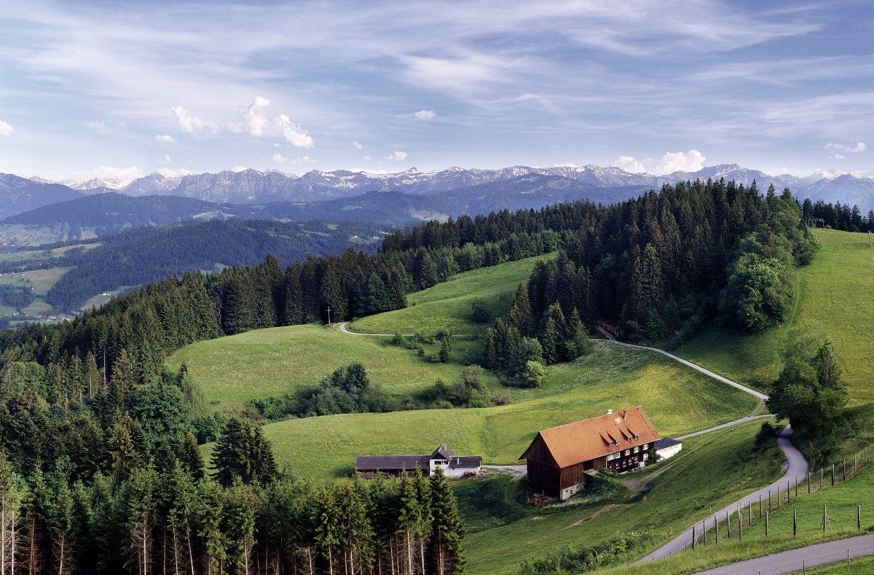Hund wandert durch grüne Berglandschaft mit Almhütte und Bergpanorama