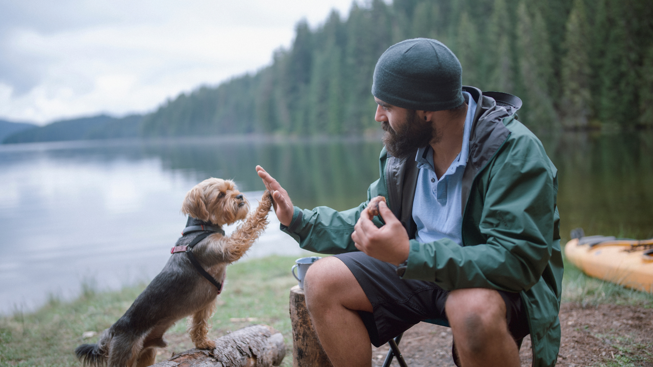 Hund beim Camping am See trainieren Mann trainiert kleinen Hund am Seeufer mit Wald und Bergen im Hintergrund