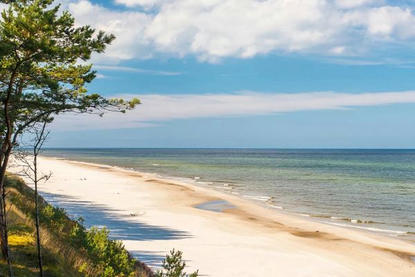 Sicht auf einen ruhigen, weiten Sandstrand an der Ostsee mit Bäumen im Vordergrund.