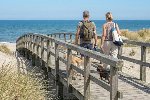 Ein Paar mit zwei Hunden geht über einen Holzsteg, der zum Strand führt.
