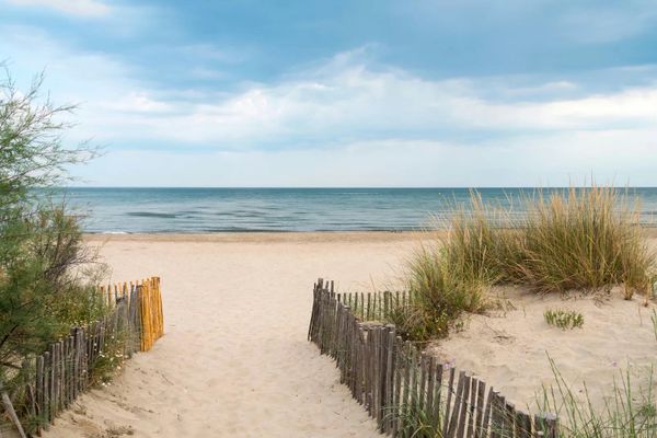 Sandstrand in Frankreich mit Zaun und Pflanzen im Vordergrund, Blick aufs Meer.