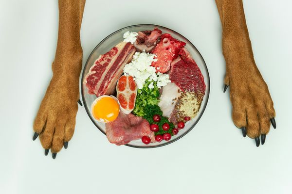 Teller mit Rohfleisch, Innereien, Ei, Gemüse und Kräutern für BARF-Ernährung von Hunden