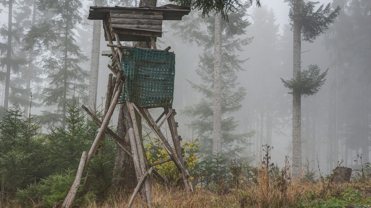 Hochsitz im Wald – Jagdgebiet für Hundetraining Hochsitz aus Holz im nebligen Wald mit grünem Netz, umgeben von Fichten und Unterholz