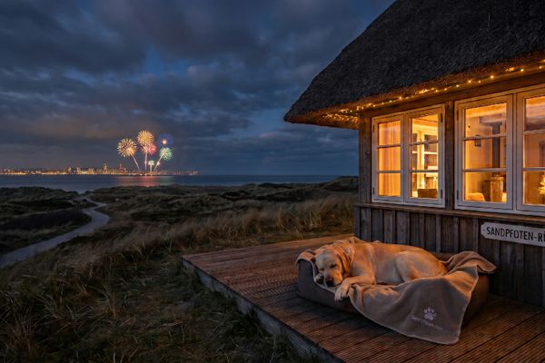 Golden Retriever liegt gemütlich auf einer Terrasse vor einem beleuchteten Strandhaus und beobachtet Silvesterfeuerwerk über der Stadt