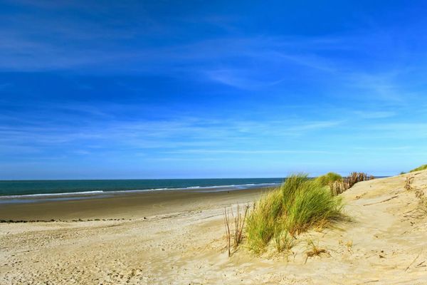 Ein leerer Sandstrand mit Dünen und grasbewachsenen Hügeln bei klarem Himmel.