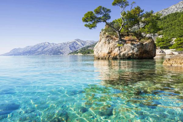 Klares blaues Wasser und eine felsige Küste mit Kiefern in Kroatien.