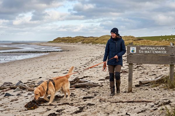 Frau mit Golden Retriever an der Leine am Sandstrand des Nationalparks Schleswig-Holsteinisches Wattenmeer