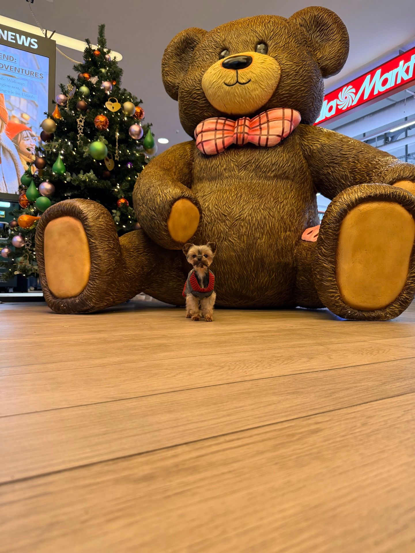 Foto