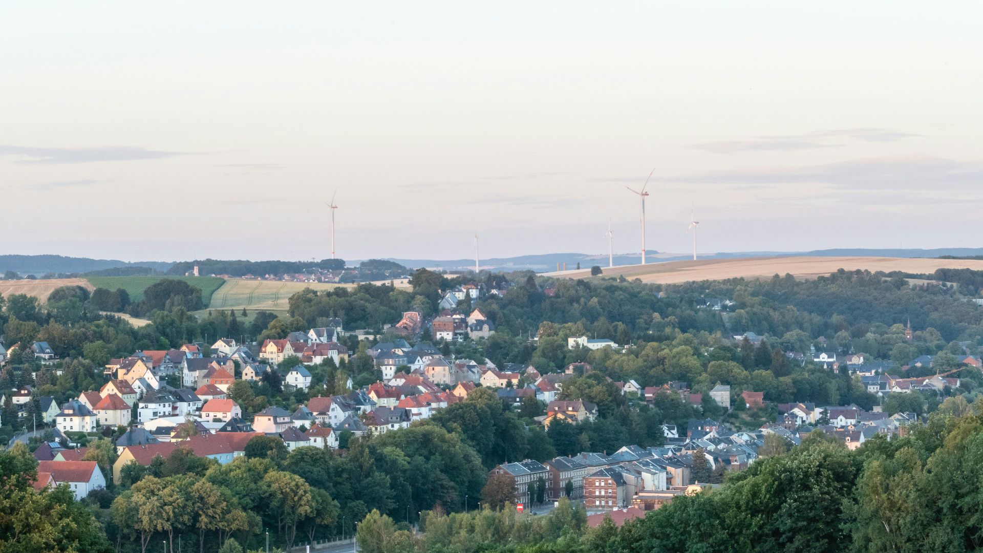 Hundefreundliche Orte in Zwickau