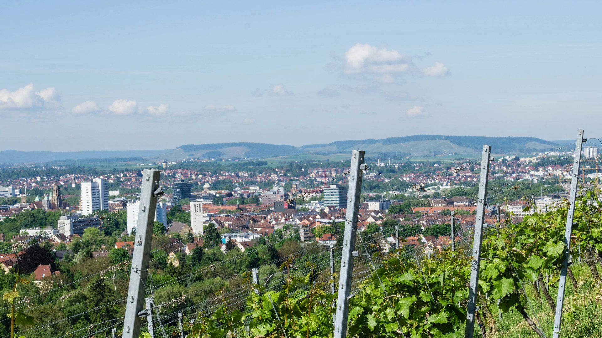 Hundefreundliche Orte in Heilbronn