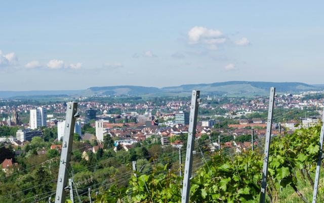 Hundefreundliche Orte in Heilbronn