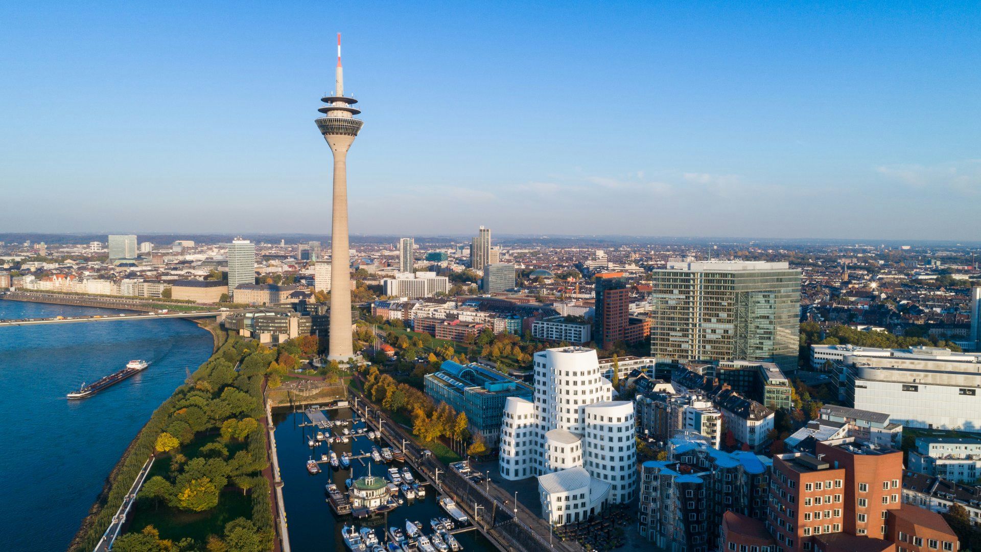 Hundefreundliche Orte in Düsseldorf