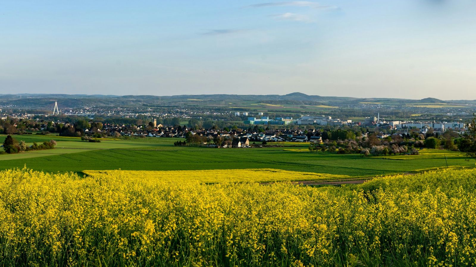 Hundefreundliche Hotels in Neuwied