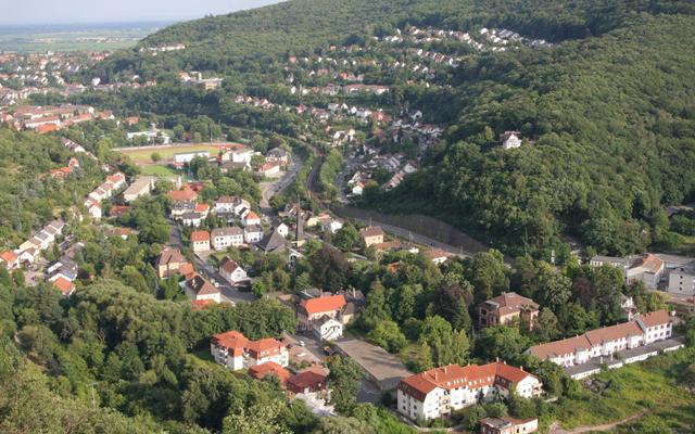 Hundefreundliche Orte in Neustadt an der Weinstraße