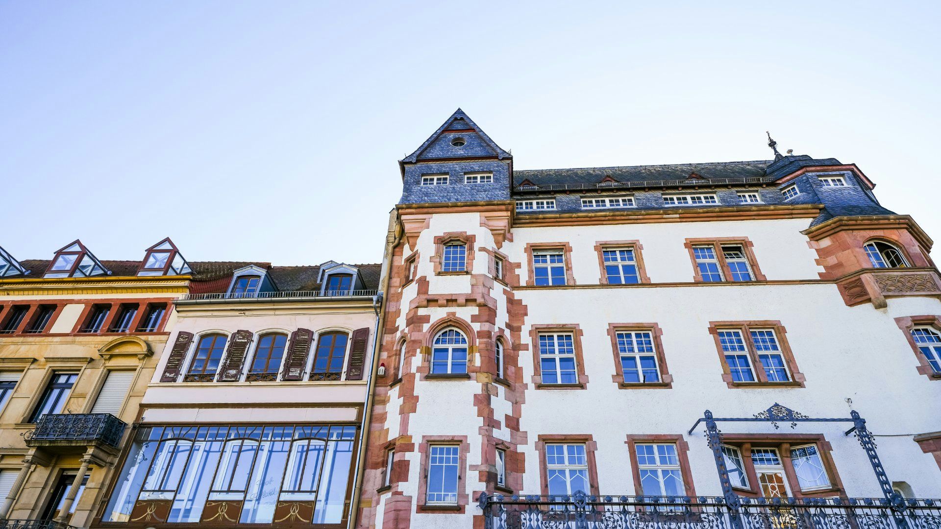 Hundefreundliche Orte in Landau in der Pfalz