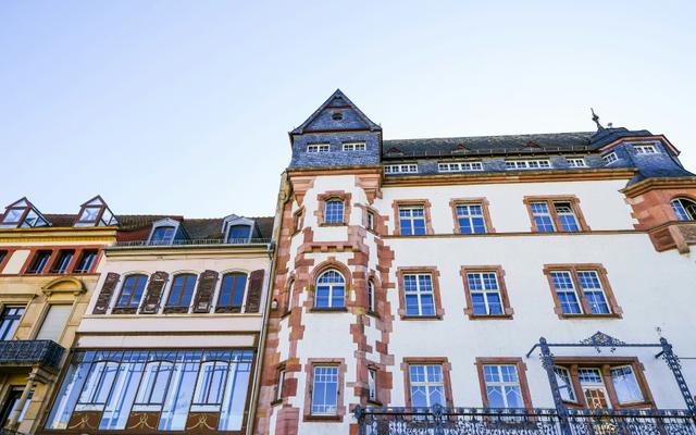Hundefreundliche Orte in Landau in der Pfalz