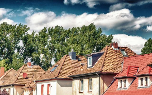 Hundefreundliche Orte in Celle