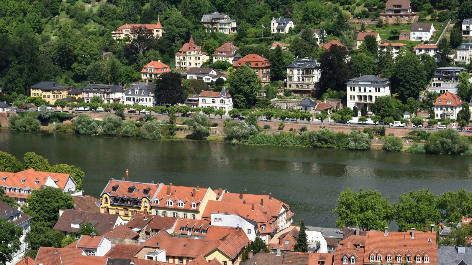 Hundefreundliche Campingplätze in Heidelberg
