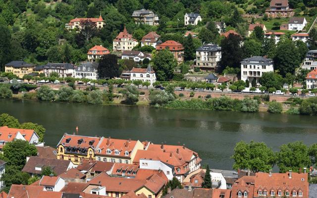 Hundefreundliche Orte in Heidelberg