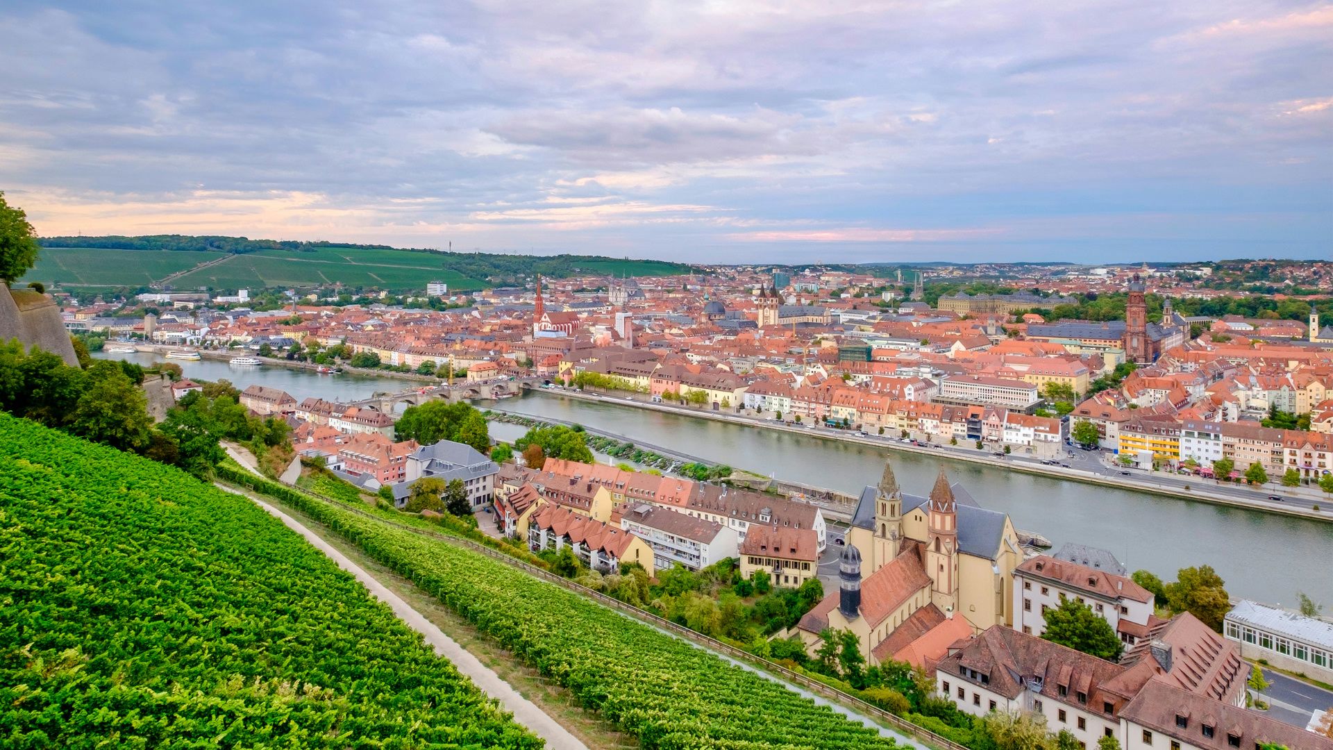 Hundefreundliche Orte in Würzburg