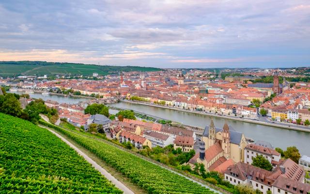 Hundefreundliche Orte in Würzburg