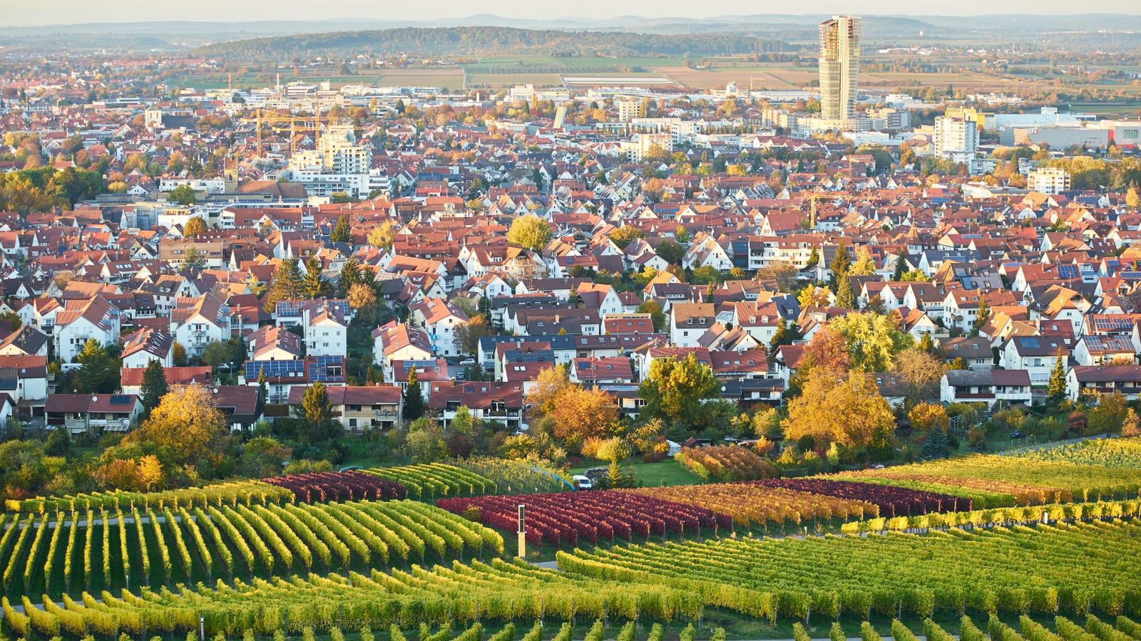 Hundefreundliche Ferienwohnungen / Ferienhäuser in Fellbach