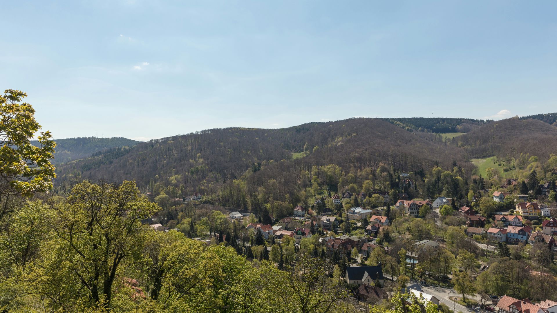 Hundefreundliche Orte in Wernigerode