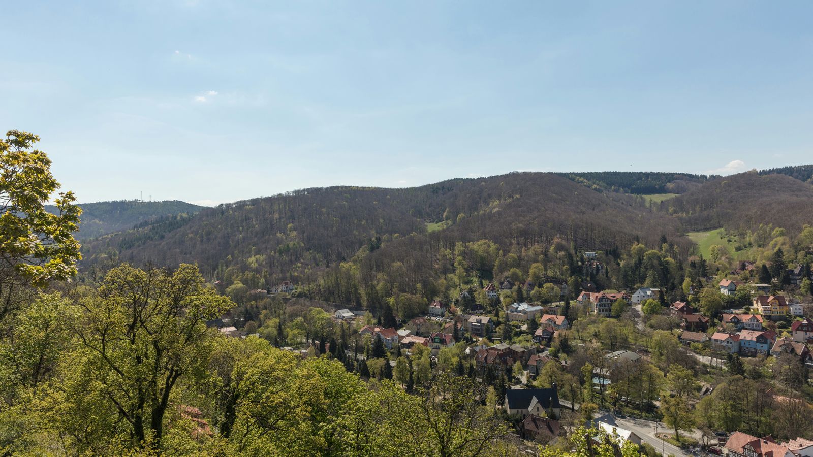 Hundefreundliche Campingplätze in Wernigerode