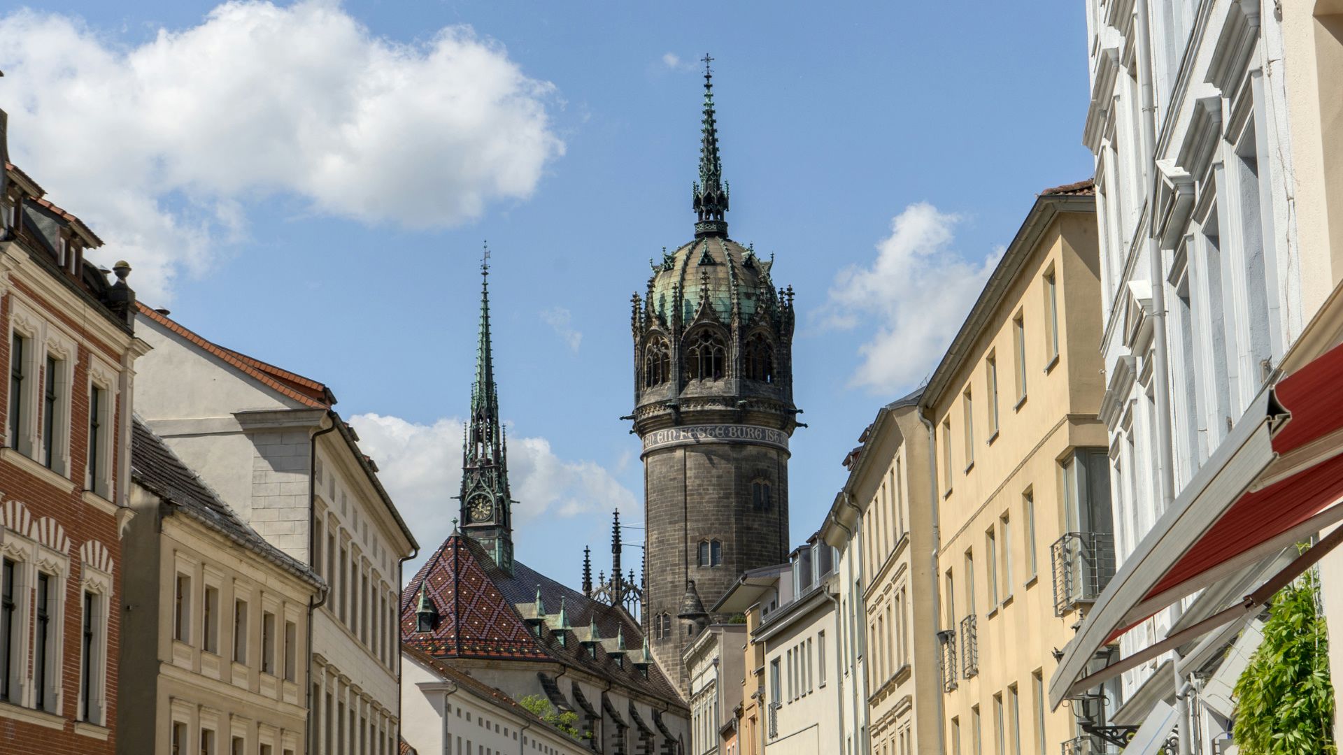Hundefreundliche Orte in Wittenberg