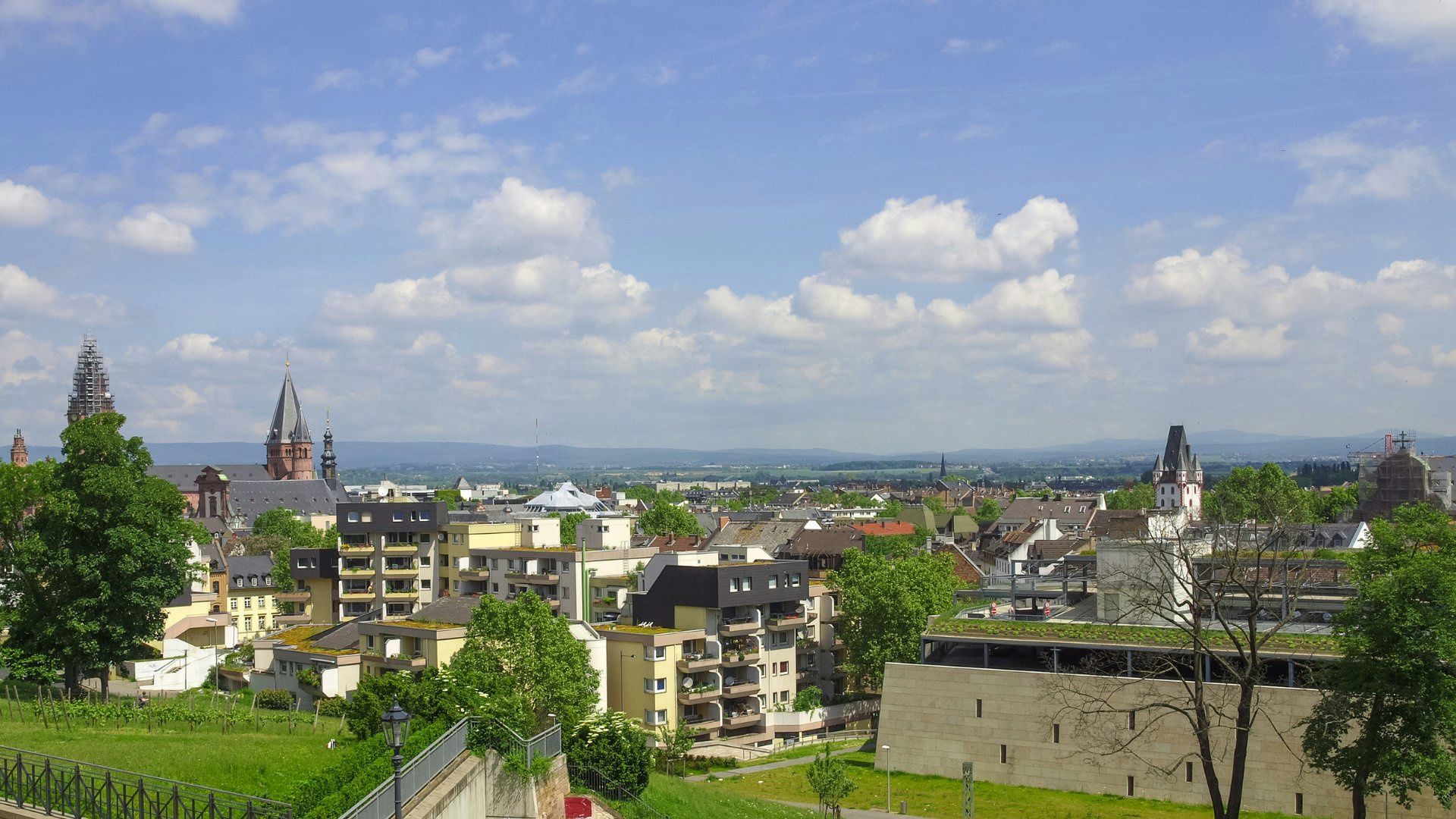 Hundefreundliche Orte in Mainz