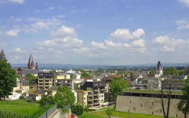 Hundefreundliche Orte in Mainz