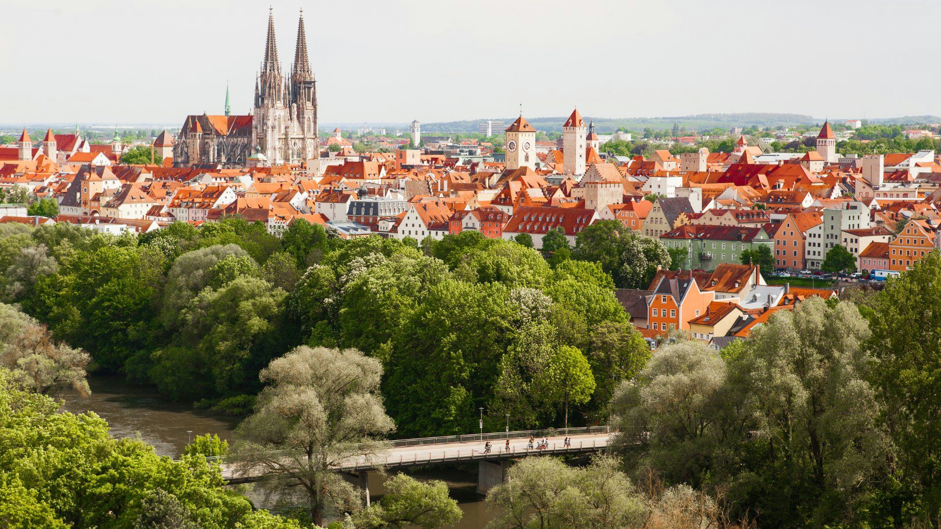 Hundefreundliche Orte in Regensburg