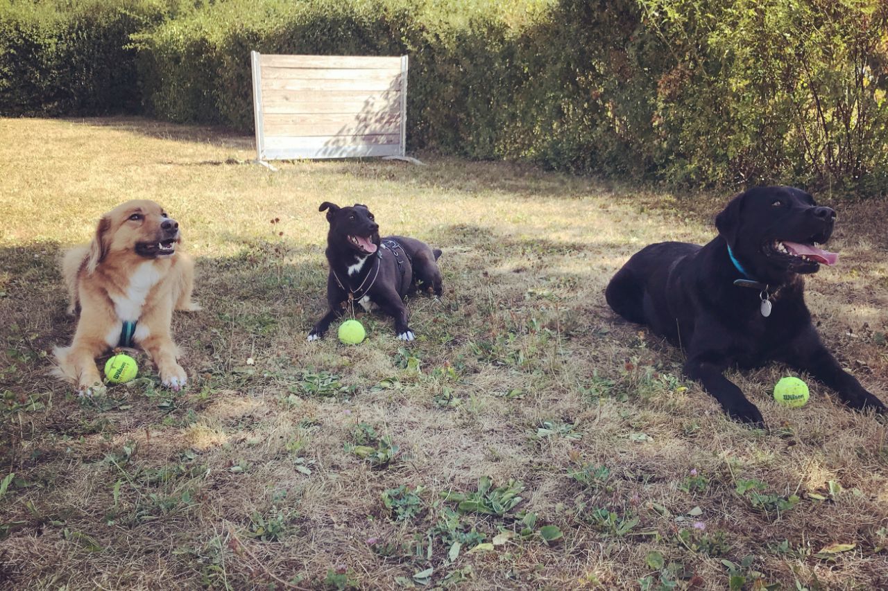 Foto