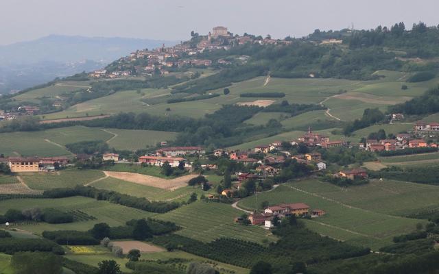 Hundefreundliche Orte in Madonna di Loreto
